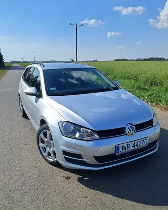 volkswagen Volkswagen Golf cena 38000 przebieg: 177000, rok produkcji 2016 z Sulechów